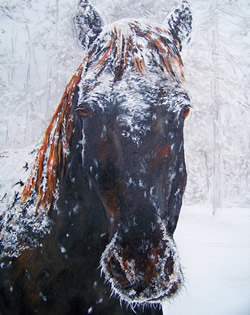 Painting of Horseback Riding Art