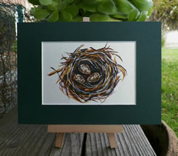 Painting of brown bird's nest