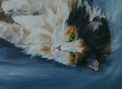 Calico Cat Upside Down Original Oil Painting