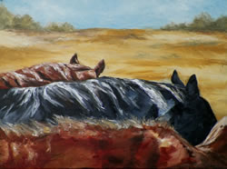 Great Plains Horse Original Oils Painting