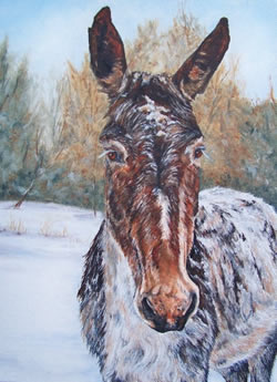 Donkey Oil Painting