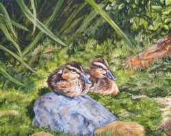 Sitting Ducks Original Oil Painting