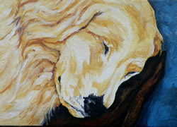 Sleeping Golden Retriever Original Oil Painting