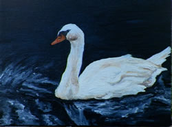 Swan Original Acrylic Painting