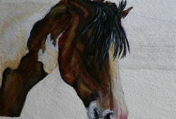 Noble Horse Original Oil Painting