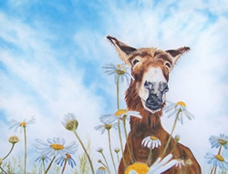 Donkey in the Daisies Painting