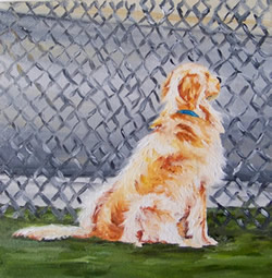 Waiting Golden Retriever Original Oil Painting