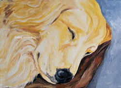 Sleeping Golden Retriever Original Oil Painting