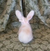 Photo of long eared wool bunny