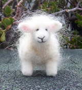 Photo of wool sheep