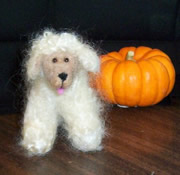 Photo of goldendoodle sheep costume