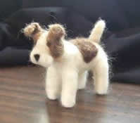 Photo of wool puppy